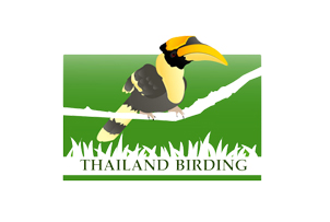 Thailand Birding