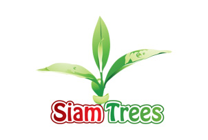 Siam Trees